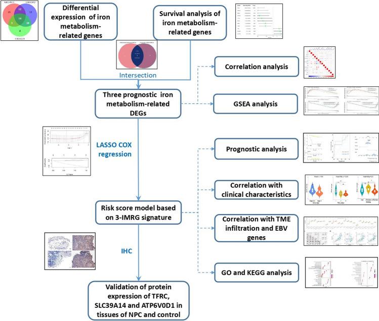 https://cdn.ncbi.nlm.nih.gov/pmc/blobs/e8a3/11009181/2c7500ba3c1b/12672_2024_969_Fig1_HTML.jpg