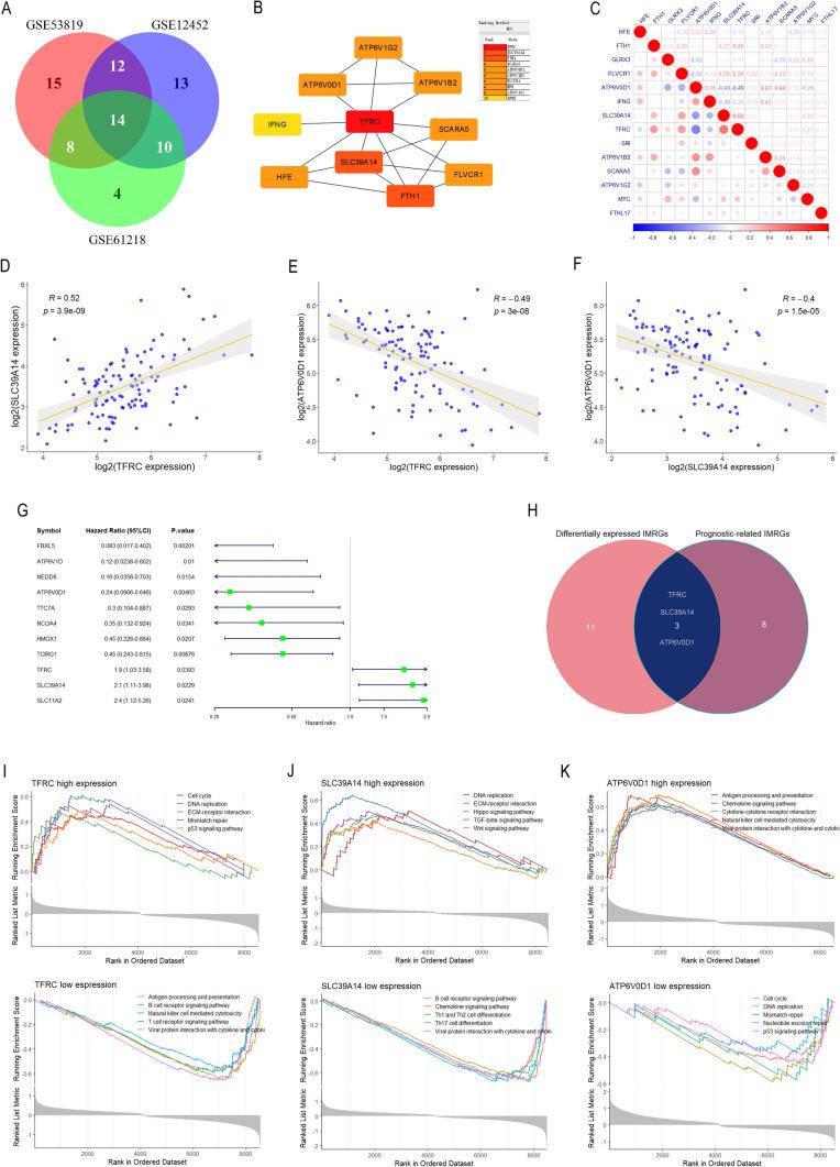 https://cdn.ncbi.nlm.nih.gov/pmc/blobs/e8a3/11009181/cb373af30fcb/12672_2024_969_Fig2_HTML.jpg