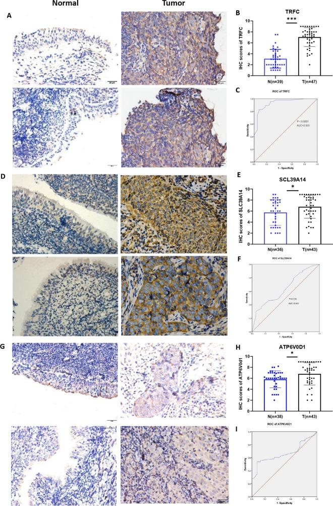 https://cdn.ncbi.nlm.nih.gov/pmc/blobs/e8a3/11009181/d69519b3a5d1/12672_2024_969_Fig6_HTML.jpg