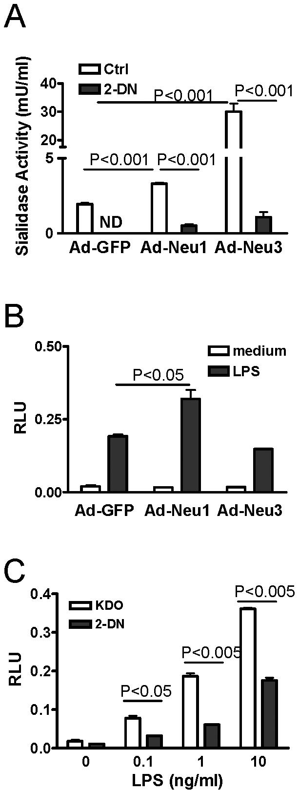 https://cdn.ncbi.nlm.nih.gov/pmc/blobs/e8a4/3322133/330f1224c0eb/pone.0032359.g007.jpg