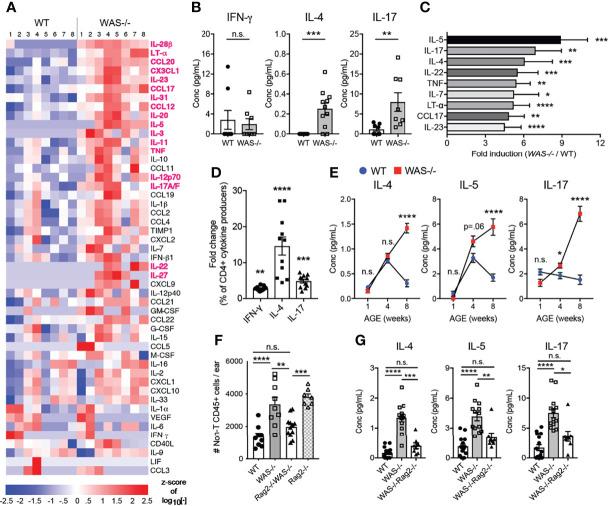 https://cdn.ncbi.nlm.nih.gov/pmc/blobs/e8a5/8900519/f433eef080b7/fimmu-13-817427-g005.jpg