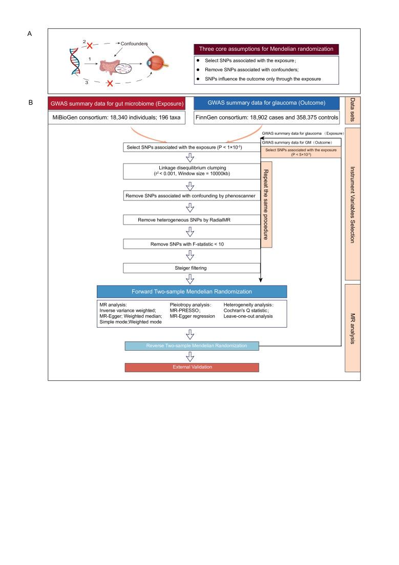 https://cdn.ncbi.nlm.nih.gov/pmc/blobs/e8a7/10826588/dafe51be20d5/bmjophth-2023-001547f01.jpg