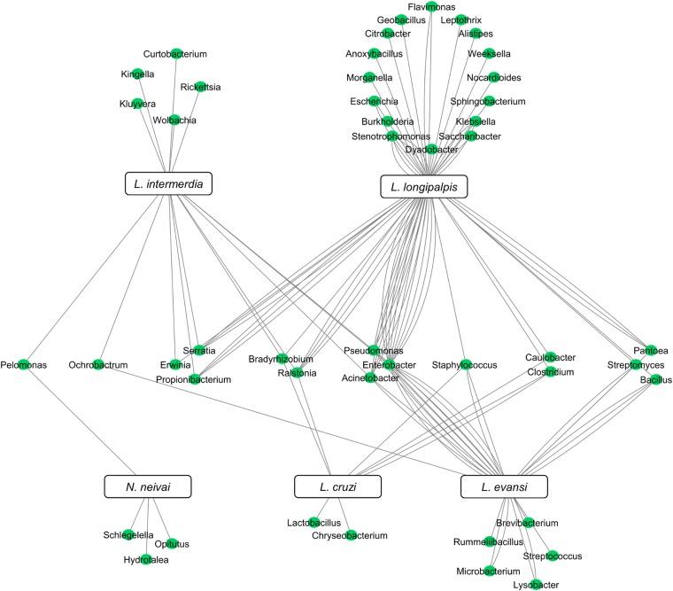 https://cdn.ncbi.nlm.nih.gov/pmc/blobs/e8a8/6137379/1196a24c45c6/S0031182018001014_fig3.jpg