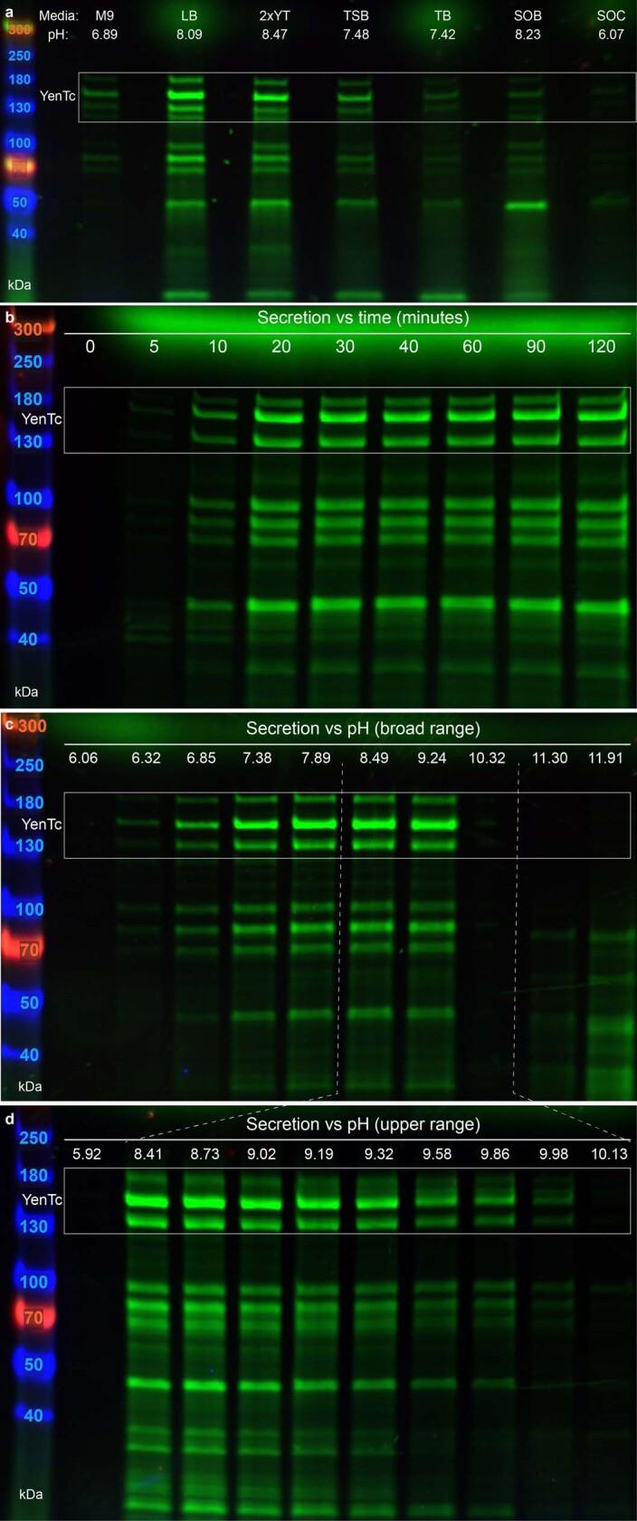 https://cdn.ncbi.nlm.nih.gov/pmc/blobs/e8aa/10847048/5f3f684912c4/41564_2023_1571_Fig7_ESM.jpg