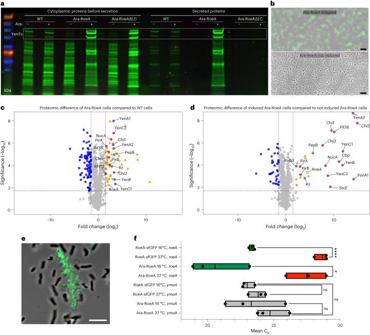 https://cdn.ncbi.nlm.nih.gov/pmc/blobs/e8aa/10847048/d4ea86c4e9a1/41564_2023_1571_Fig2_HTML.jpg