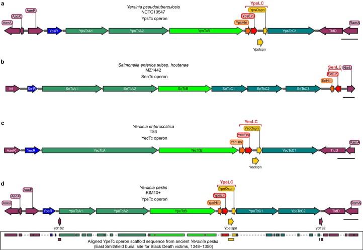 https://cdn.ncbi.nlm.nih.gov/pmc/blobs/e8aa/10847048/def134fbb9a3/41564_2023_1571_Fig10_ESM.jpg