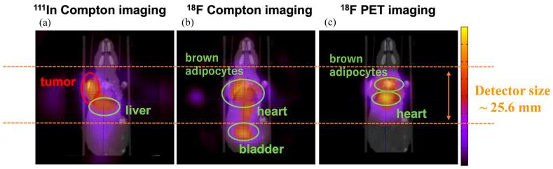 https://cdn.ncbi.nlm.nih.gov/pmc/blobs/e8af/9573429/7b8d892312f1/sensors-22-07374-g009.jpg