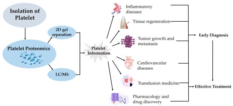 https://cdn.ncbi.nlm.nih.gov/pmc/blobs/e8b3/10968484/43f8c33a2010/biomedicines-12-00585-g002.jpg
