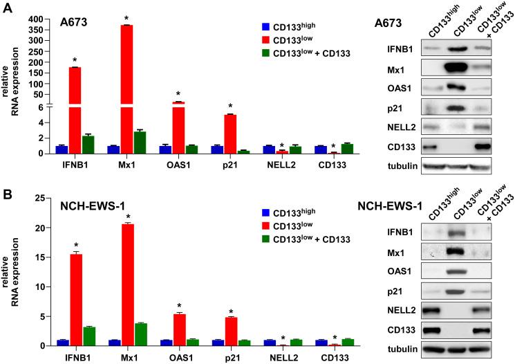 https://cdn.ncbi.nlm.nih.gov/pmc/blobs/e8b4/8711646/3e9c7e567625/ganc-12-218-g002.jpg