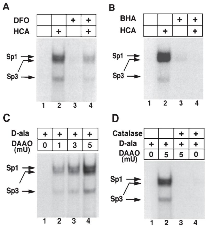 https://cdn.ncbi.nlm.nih.gov/pmc/blobs/e8b5/5310831/f1591607eb9f/nihms847717f4.jpg