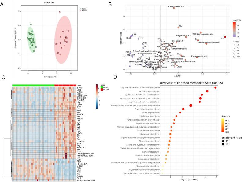 https://cdn.ncbi.nlm.nih.gov/pmc/blobs/e8b7/12070541/826b2432e761/12986_2025_928_Fig1_HTML.jpg