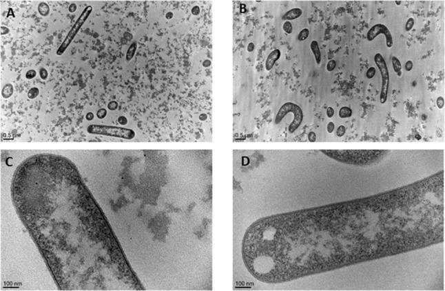 https://cdn.ncbi.nlm.nih.gov/pmc/blobs/e8ba/6204390/e66b5d047c3d/fmicb-09-02548-g003.jpg