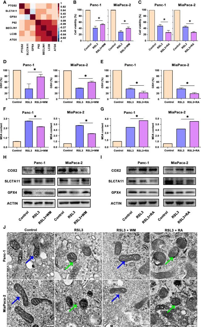 https://cdn.ncbi.nlm.nih.gov/pmc/blobs/e8bc/9561879/0a38e4fcdc36/fonc-12-960858-g005.jpg