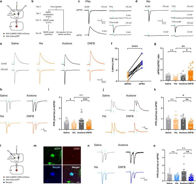 https://cdn.ncbi.nlm.nih.gov/pmc/blobs/e8be/10156671/4ae34014c2f1/41467_2023_38264_Fig7_HTML.jpg
