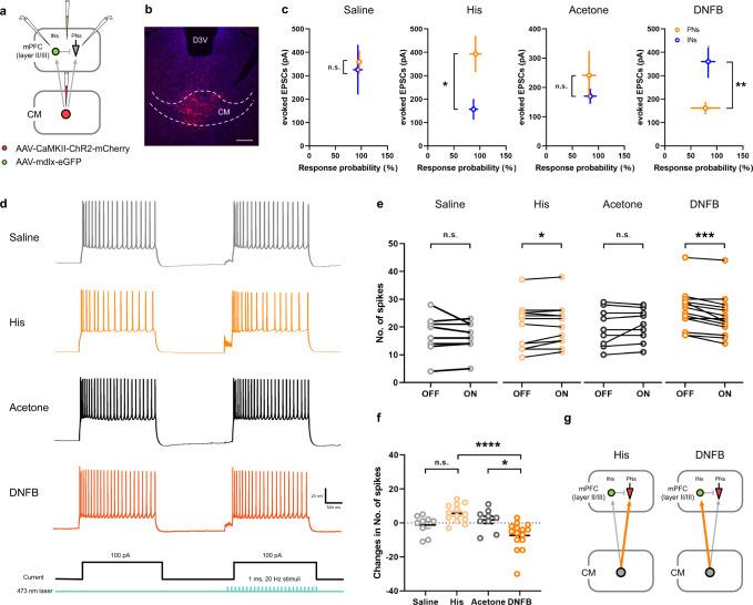 https://cdn.ncbi.nlm.nih.gov/pmc/blobs/e8be/10156671/60a889723195/41467_2023_38264_Fig6_HTML.jpg