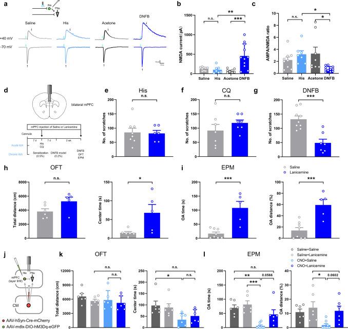 https://cdn.ncbi.nlm.nih.gov/pmc/blobs/e8be/10156671/ccf38372aa7b/41467_2023_38264_Fig8_HTML.jpg