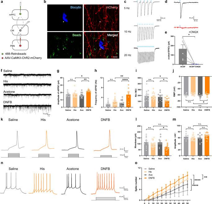https://cdn.ncbi.nlm.nih.gov/pmc/blobs/e8be/10156671/e06d12d2e17f/41467_2023_38264_Fig5_HTML.jpg