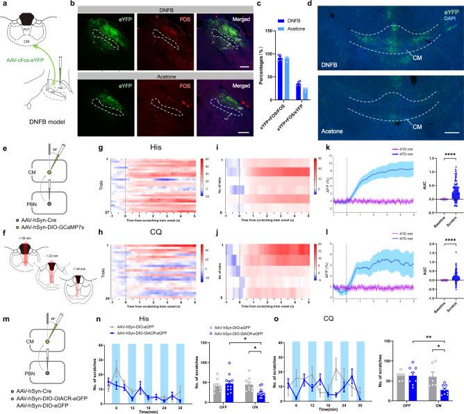 https://cdn.ncbi.nlm.nih.gov/pmc/blobs/e8be/10156671/e7a15327f806/41467_2023_38264_Fig2_HTML.jpg