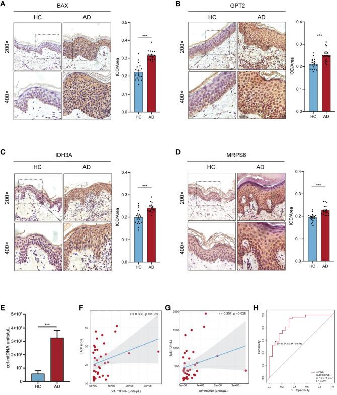 https://cdn.ncbi.nlm.nih.gov/pmc/blobs/e8c0/11106410/6b9fec49b20a/fimmu-15-1367602-g008.jpg