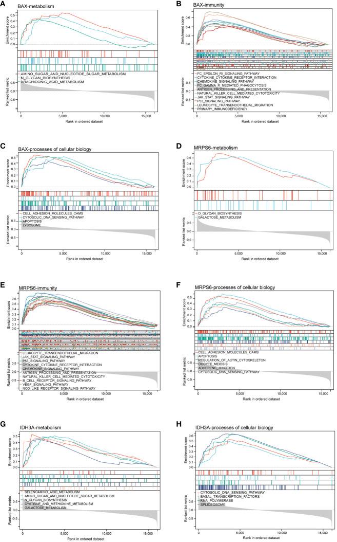 https://cdn.ncbi.nlm.nih.gov/pmc/blobs/e8c0/11106410/6d9e71190693/fimmu-15-1367602-g005.jpg
