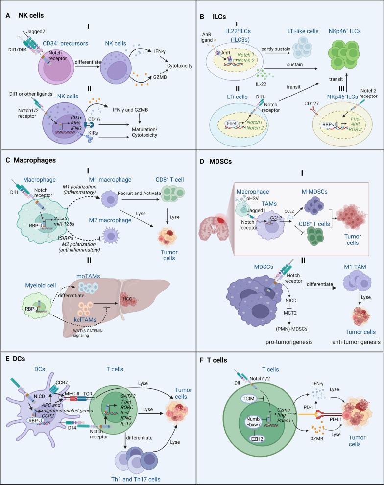https://cdn.ncbi.nlm.nih.gov/pmc/blobs/e8c1/10155406/21322151c3a4/13045_2023_1439_Fig2_HTML.jpg