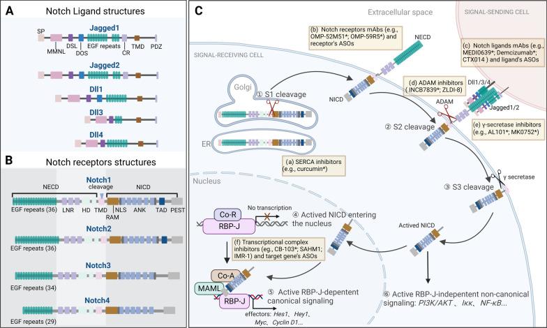 https://cdn.ncbi.nlm.nih.gov/pmc/blobs/e8c1/10155406/a2576d6d3a02/13045_2023_1439_Fig1_HTML.jpg