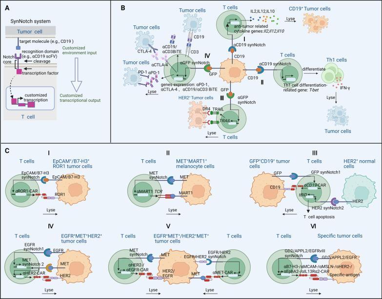 https://cdn.ncbi.nlm.nih.gov/pmc/blobs/e8c1/10155406/d061dedd6477/13045_2023_1439_Fig3_HTML.jpg