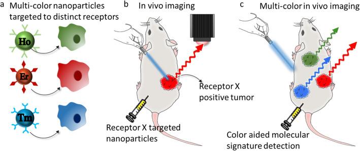 https://cdn.ncbi.nlm.nih.gov/pmc/blobs/e8c2/7654009/15b2e11df3a7/12885_2020_7604_Fig1_HTML.jpg