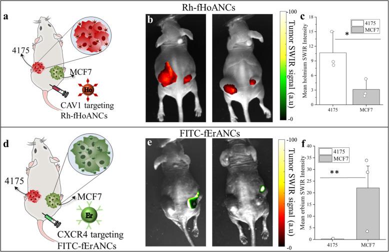 https://cdn.ncbi.nlm.nih.gov/pmc/blobs/e8c2/7654009/828b7d498eba/12885_2020_7604_Fig5_HTML.jpg