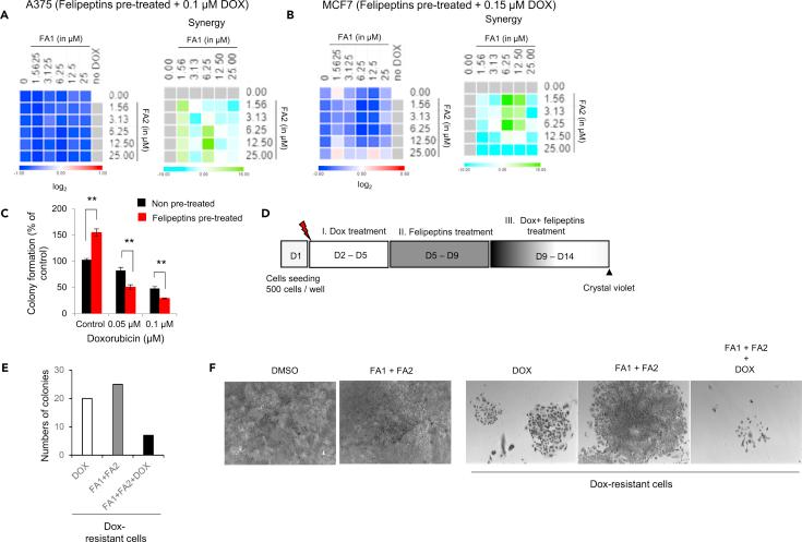 https://cdn.ncbi.nlm.nih.gov/pmc/blobs/e8c3/7689547/bed235894235/gr7.jpg