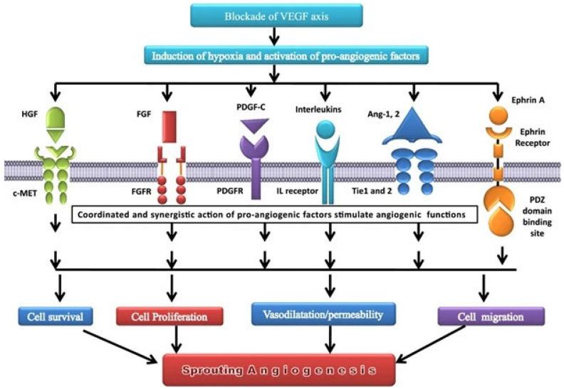 https://cdn.ncbi.nlm.nih.gov/pmc/blobs/e8c4/10526378/b07a75b6c36e/cancers-15-04648-g002.jpg