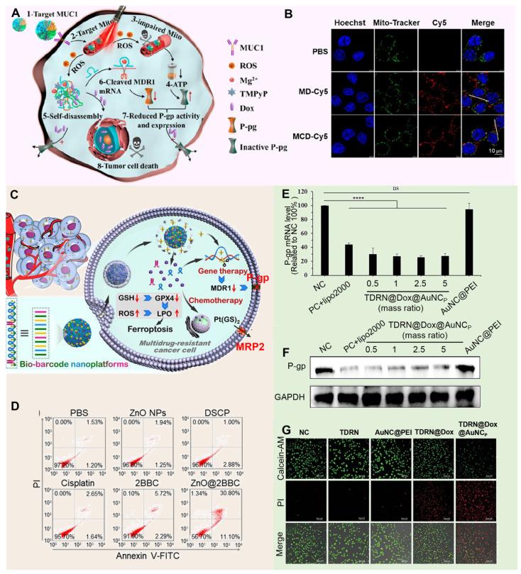 https://cdn.ncbi.nlm.nih.gov/pmc/blobs/e8c4/11780529/90b040c6d882/thnov15p1689g009.jpg