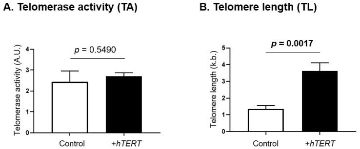 https://cdn.ncbi.nlm.nih.gov/pmc/blobs/e8c4/8953746/33284912eb31/genes-13-00539-g004.jpg