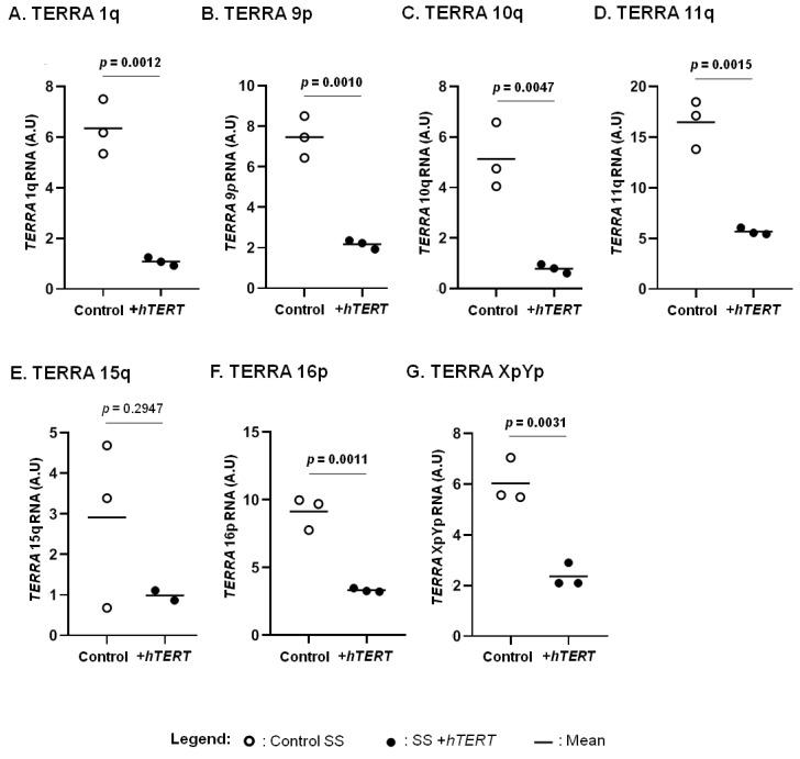 https://cdn.ncbi.nlm.nih.gov/pmc/blobs/e8c4/8953746/814c5793bab2/genes-13-00539-g003.jpg