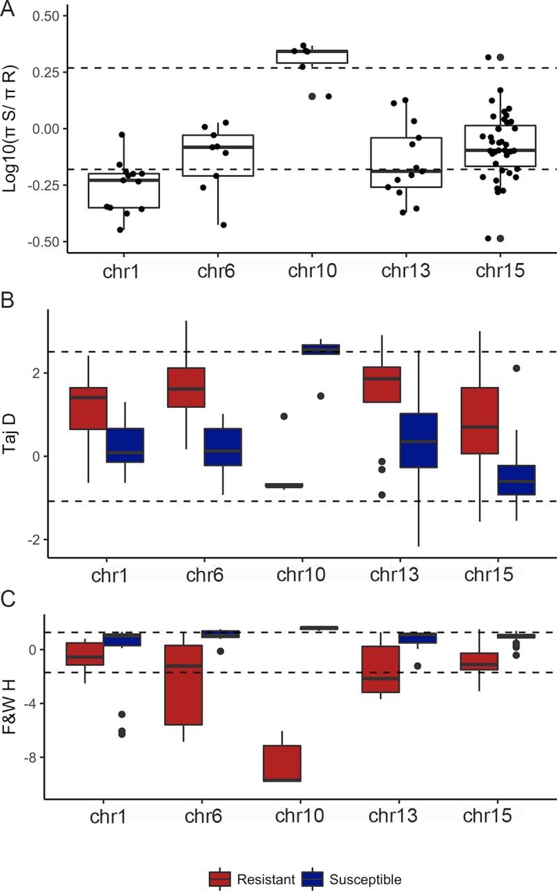 https://cdn.ncbi.nlm.nih.gov/pmc/blobs/e8c5/7018220/c80ec074ff6f/pgen.1008593.g003.jpg