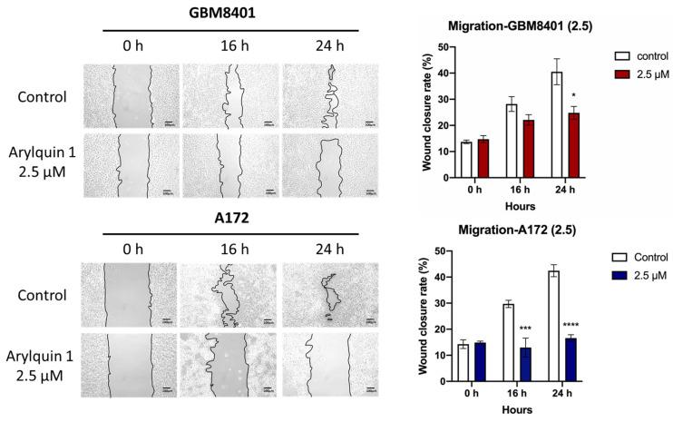 https://cdn.ncbi.nlm.nih.gov/pmc/blobs/e8c6/11048020/8965a6e08957/biomedicines-12-00907-g005.jpg