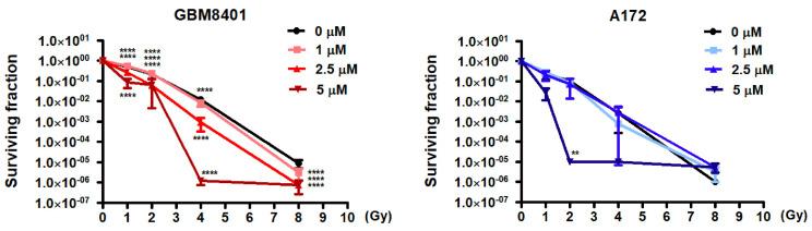 https://cdn.ncbi.nlm.nih.gov/pmc/blobs/e8c6/11048020/936f545ccc55/biomedicines-12-00907-g006.jpg
