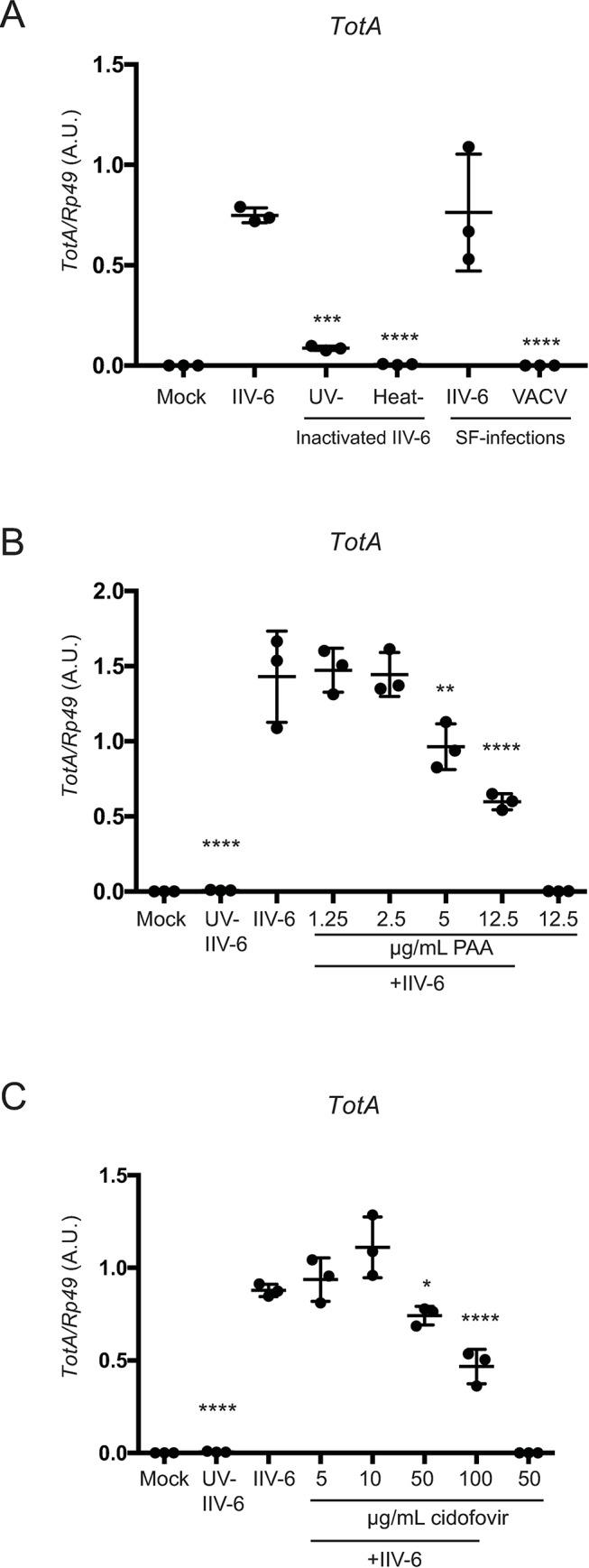 https://cdn.ncbi.nlm.nih.gov/pmc/blobs/e8c8/5963806/725906252473/ppat.1007020.g002.jpg
