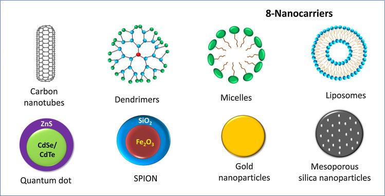 https://cdn.ncbi.nlm.nih.gov/pmc/blobs/e8c8/6300464/86e2ba7fbbdf/gr1.jpg