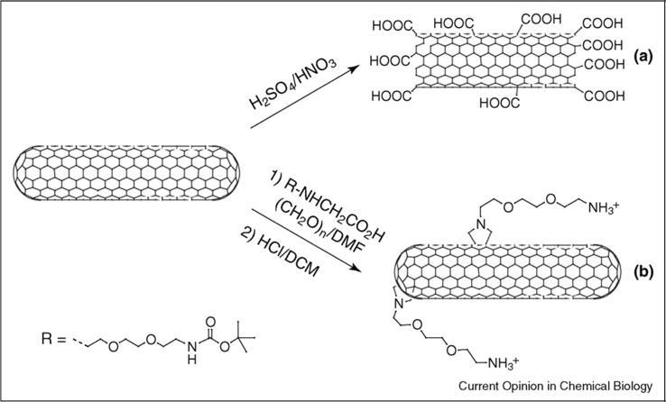 https://cdn.ncbi.nlm.nih.gov/pmc/blobs/e8c8/6300464/8e73407353cc/gr9.jpg