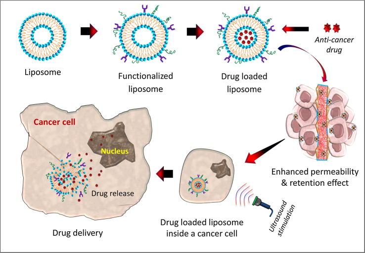 https://cdn.ncbi.nlm.nih.gov/pmc/blobs/e8c8/6300464/e5642cd2fbd5/gr2.jpg