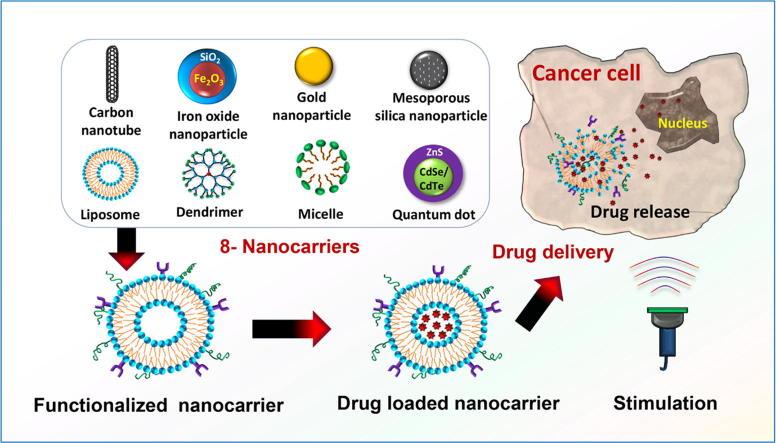 https://cdn.ncbi.nlm.nih.gov/pmc/blobs/e8c8/6300464/f4f4302d4f40/fx1.jpg