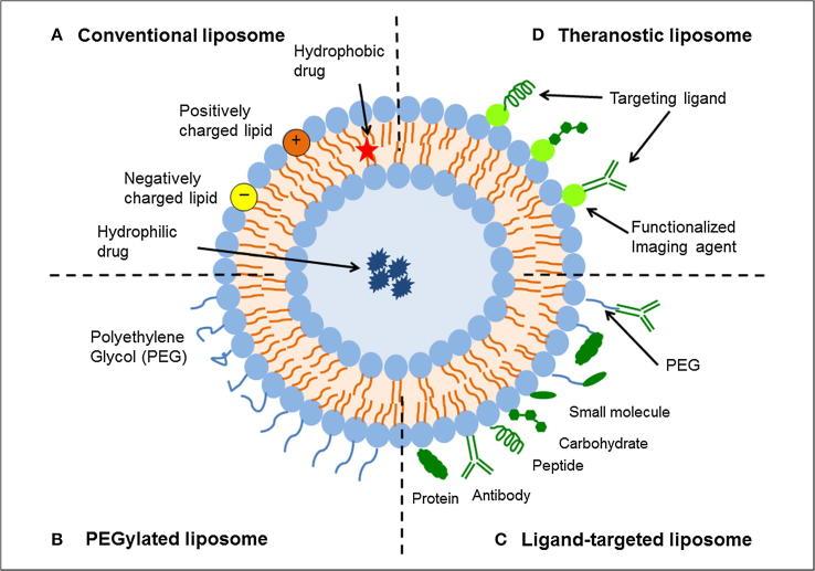 https://cdn.ncbi.nlm.nih.gov/pmc/blobs/e8c8/6300464/fec5116faafa/gr3.jpg