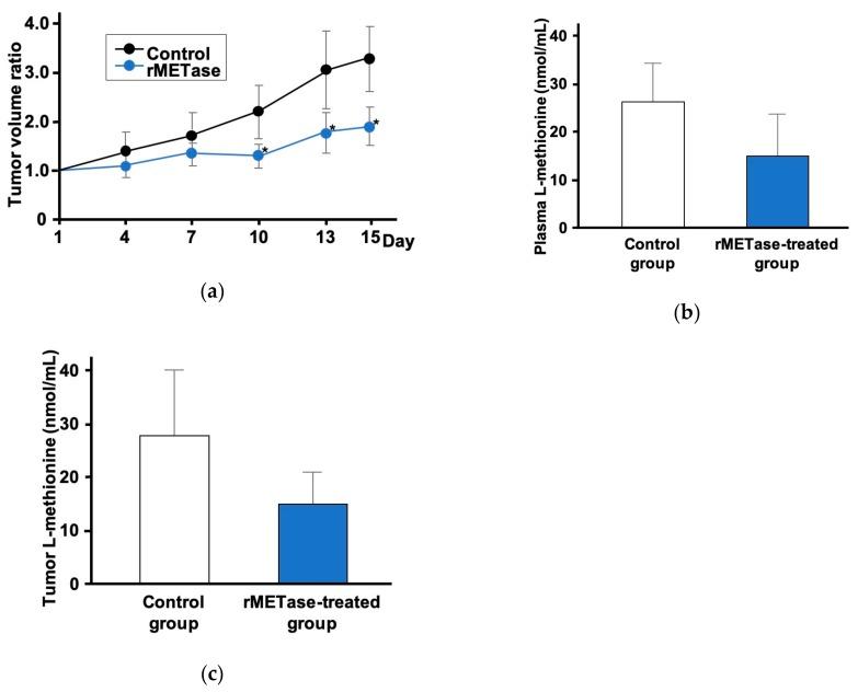 https://cdn.ncbi.nlm.nih.gov/pmc/blobs/e8c9/6562625/91650f0ef65b/cells-08-00410-g003.jpg
