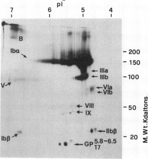 https://cdn.ncbi.nlm.nih.gov/pmc/blobs/e8ca/371237/cfe487c95130/jcinvest00702-0097-a.jpg