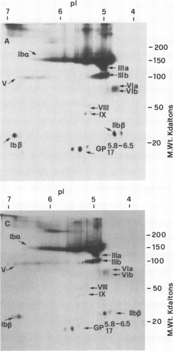 https://cdn.ncbi.nlm.nih.gov/pmc/blobs/e8ca/371237/de21e44caf8d/jcinvest00702-0097-b.jpg