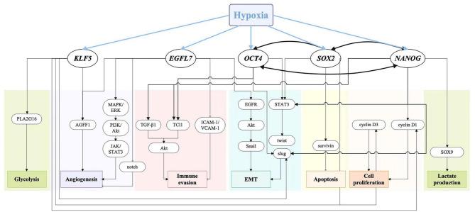 https://cdn.ncbi.nlm.nih.gov/pmc/blobs/e8cb/11921735/06851bf23dbb/13045_2025_1684_Fig1_HTML.jpg