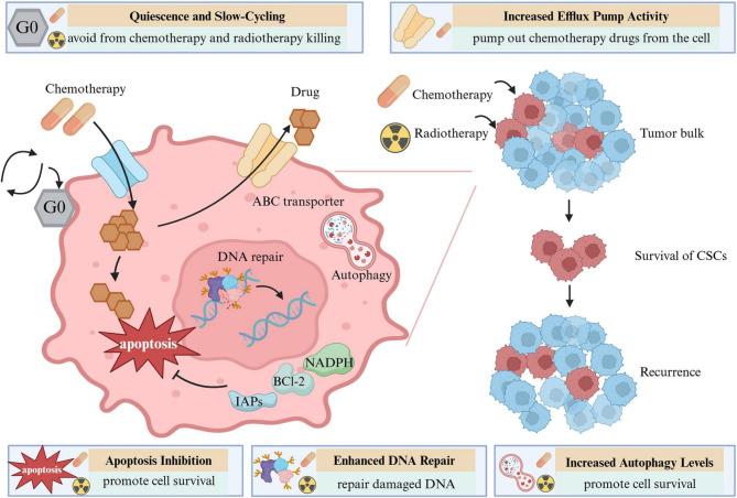 https://cdn.ncbi.nlm.nih.gov/pmc/blobs/e8cb/11921735/b04aedb31f34/13045_2025_1684_Fig2_HTML.jpg