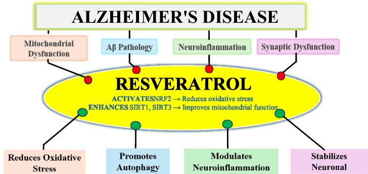 https://cdn.ncbi.nlm.nih.gov/pmc/blobs/e8cb/12328867/ef98ec6c32ca/13205_2025_4451_Fig2_HTML.jpg