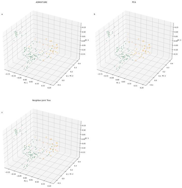 https://cdn.ncbi.nlm.nih.gov/pmc/blobs/e8cc/10742670/6ec43d1405fd/genes-14-02141-g006.jpg